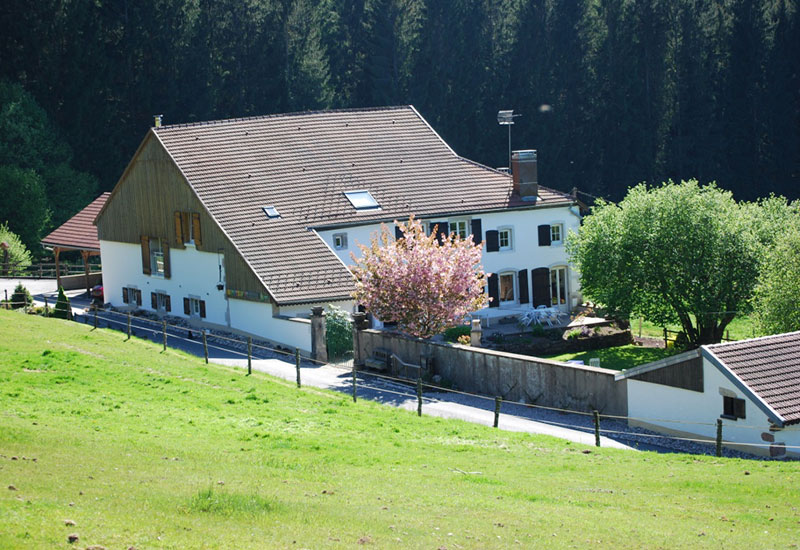 barbaux batiment facade enduit parement truelle or